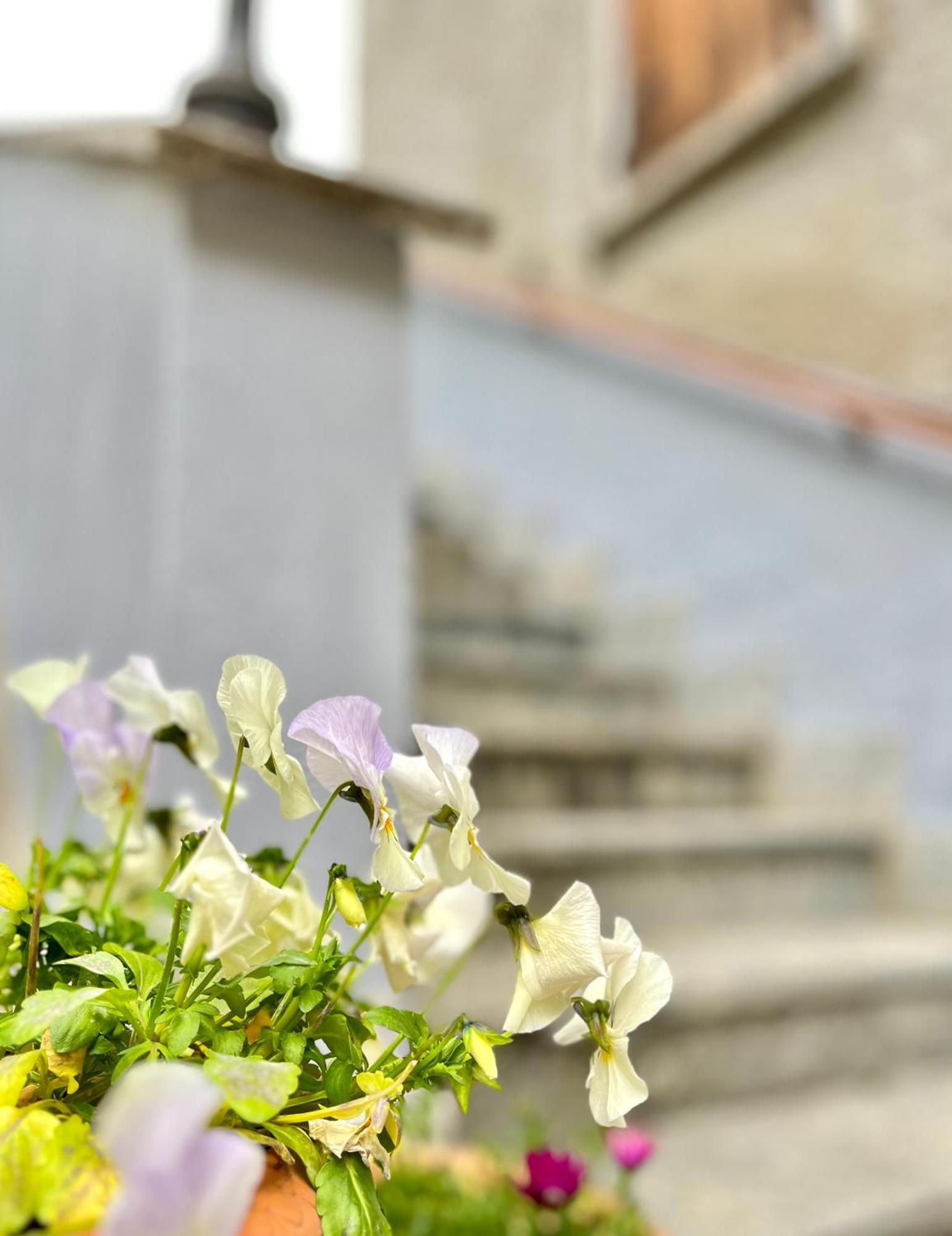 Agriturismo La Vecchia Chioderia Grandola ed Uniti Zewnętrze zdjęcie