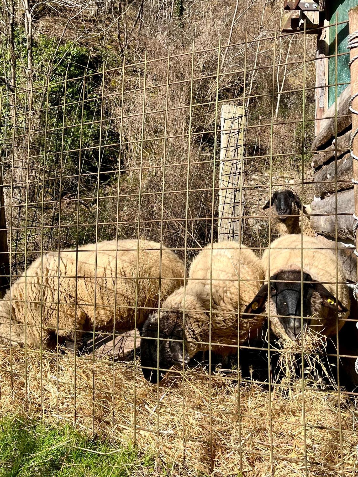 Agriturismo La Vecchia Chioderia Grandola ed Uniti Zewnętrze zdjęcie