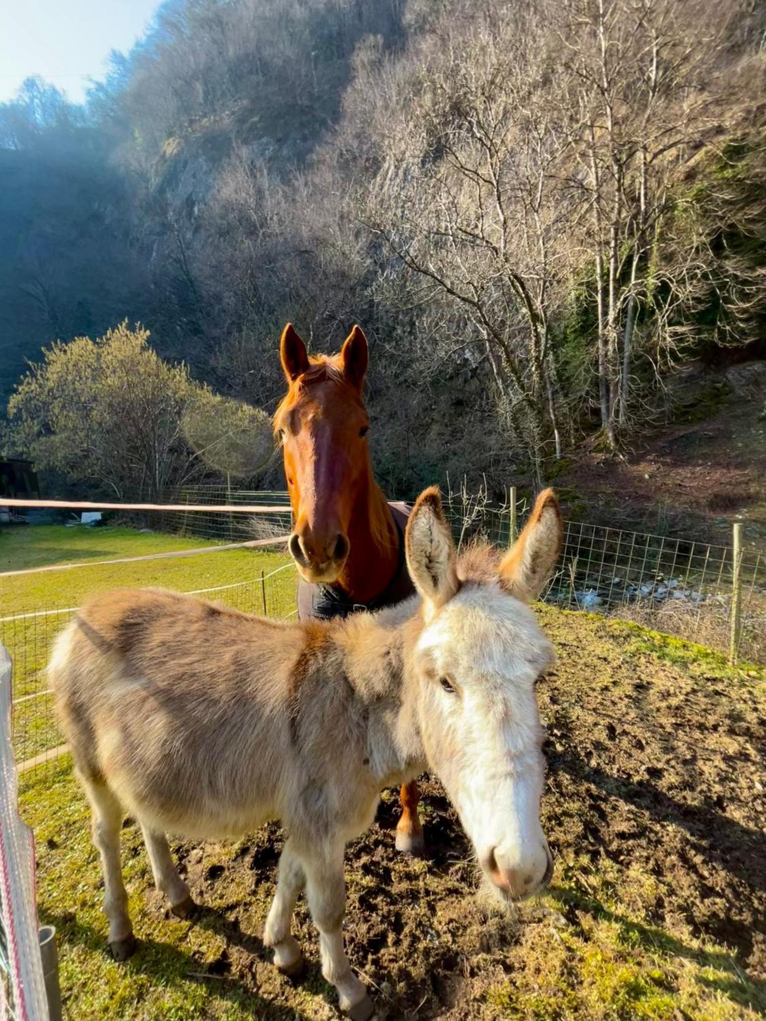Agriturismo La Vecchia Chioderia Grandola ed Uniti Zewnętrze zdjęcie