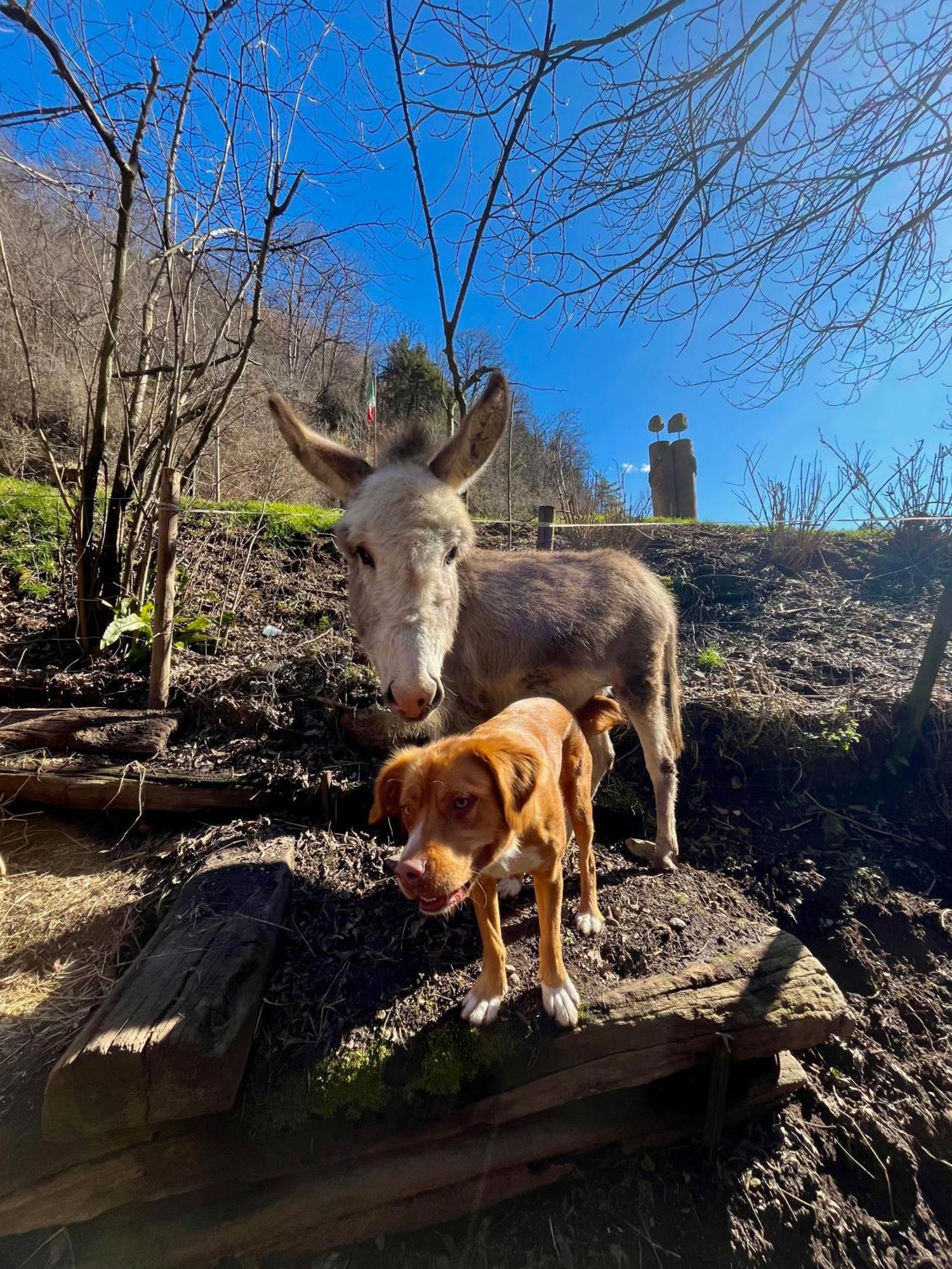 Agriturismo La Vecchia Chioderia Grandola ed Uniti Zewnętrze zdjęcie