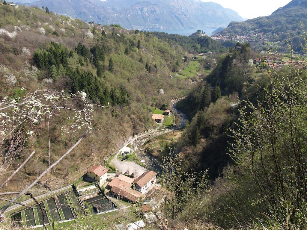 Agriturismo La Vecchia Chioderia Grandola ed Uniti Zewnętrze zdjęcie